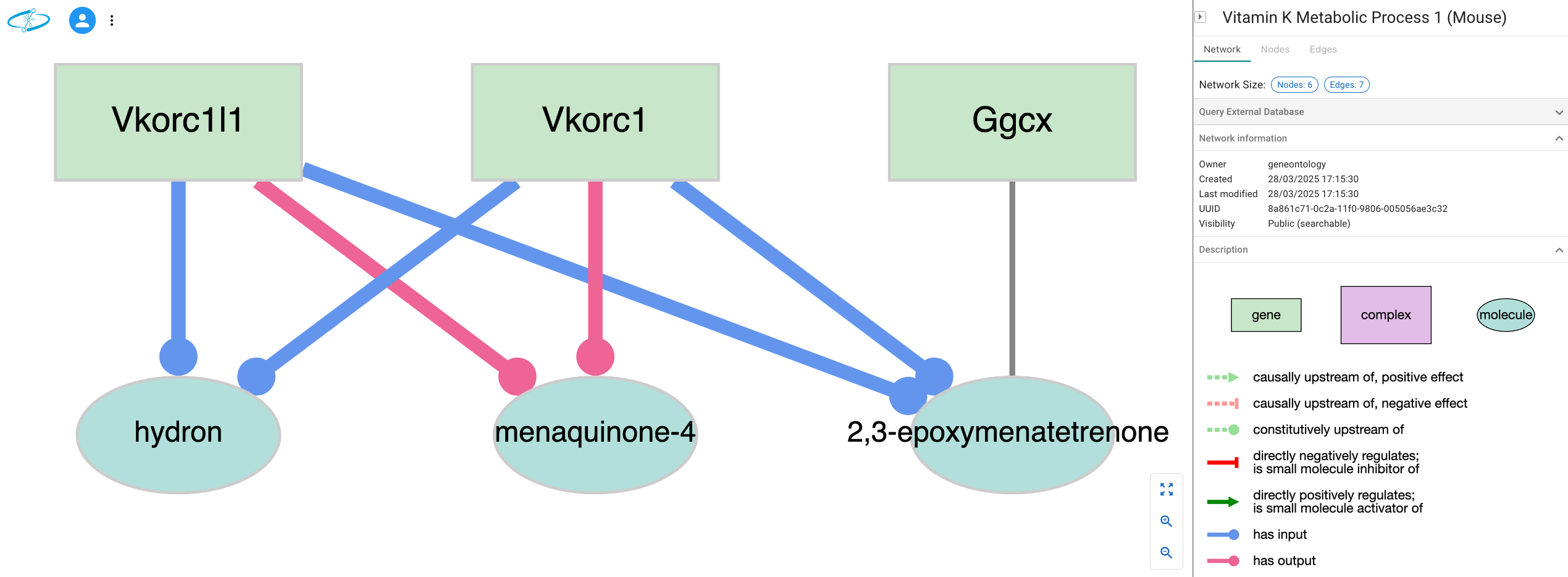 Vitamin K Metabolic Process 1 (Mouse)